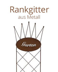 Rosenbögen, Rankgitter & Co.