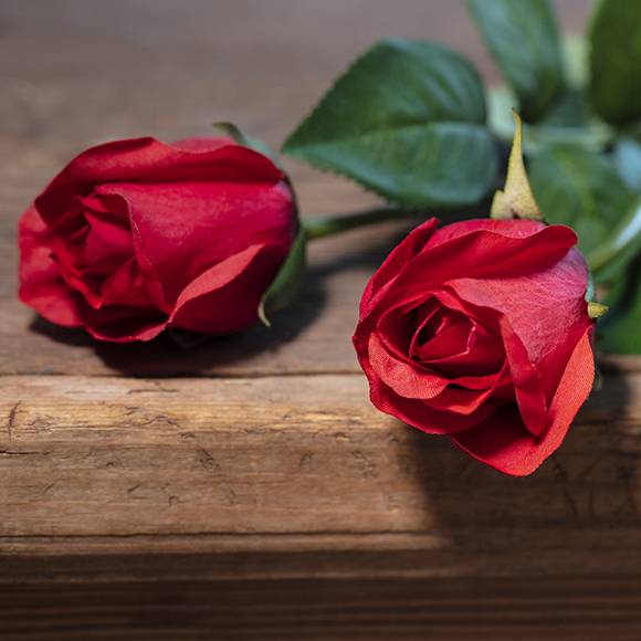 Wachs-Rosen und Seidenblumen