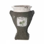 Olivenzweig-Pokal