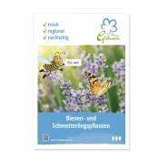 Plakat Bienen-/Schmetterlingspflanzen