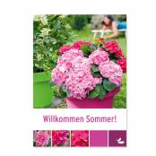 Plakat Willkommen Sommer