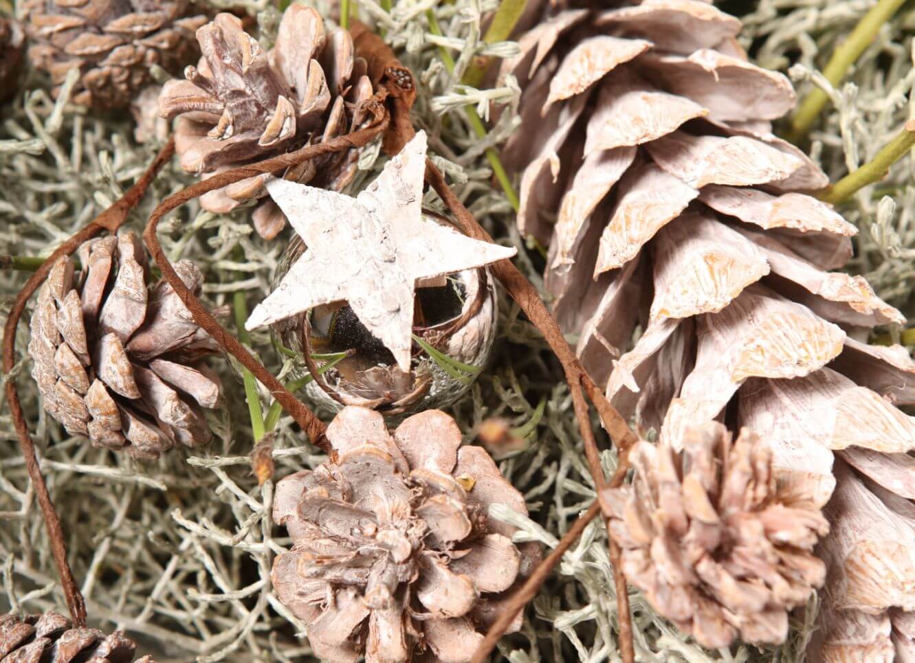 Natürliche Weihnachtdeko: Zapfen in vielen Formen