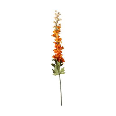 Delphinium-Einstieler orange