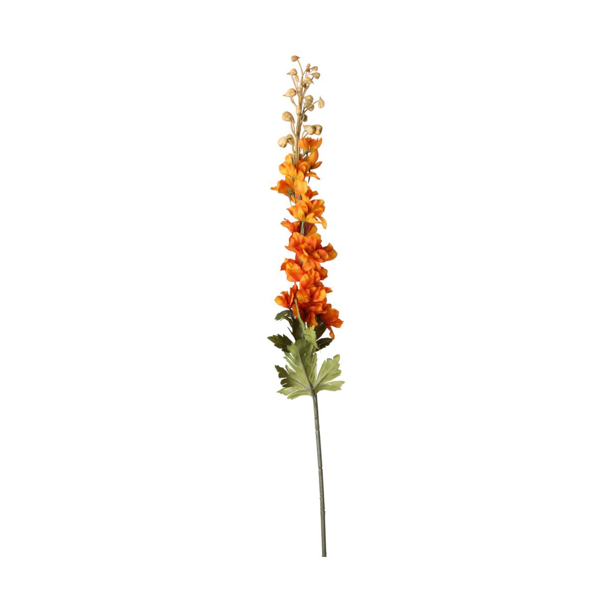 Delphinium-Einstieler orange