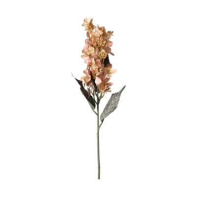 Hortensie-Einstieler länglich elfenbein