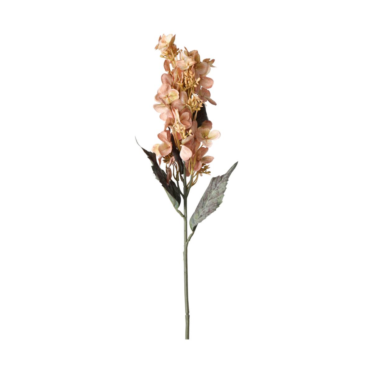 Hortensie-Einstieler länglich elfenbein