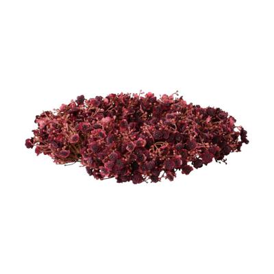 Gypso-Kranz burgundy