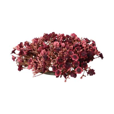 Gypso-Kranz burgundy