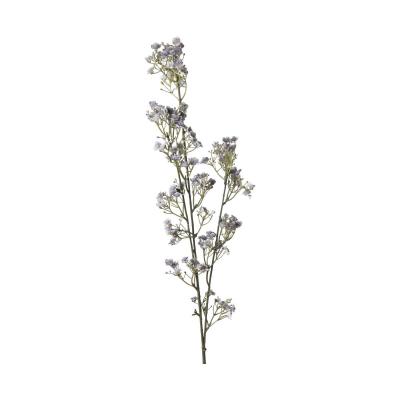 Gypso-Einstieler grau