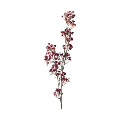 Gypso-Einstieler burgundy