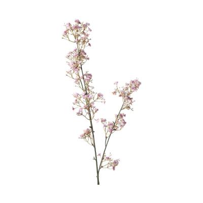 Gypso-Einstieler pink