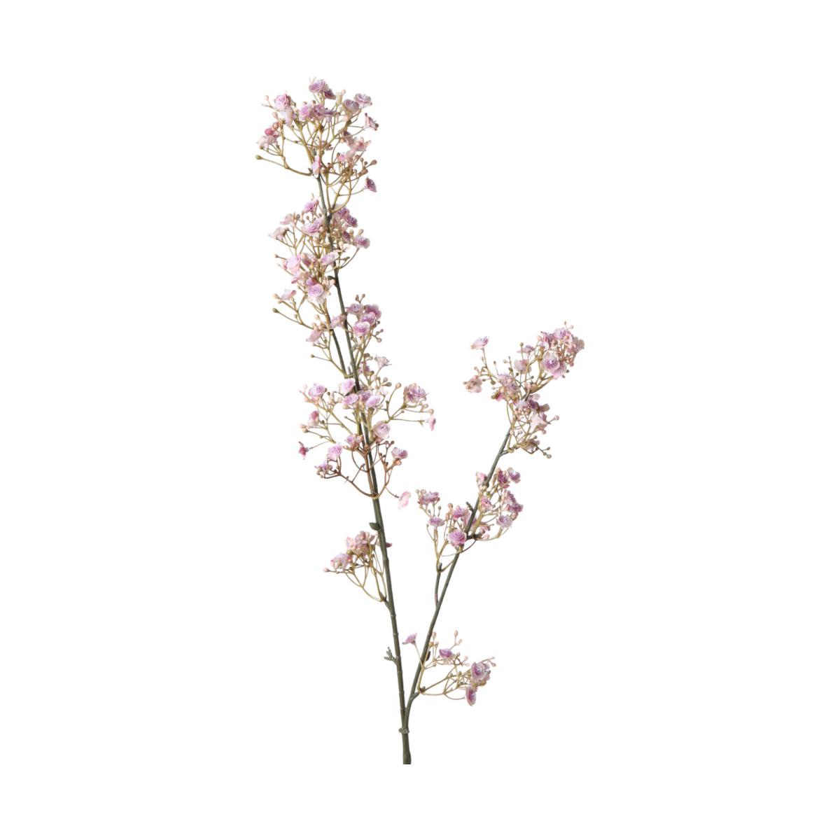 Gypso-Einstieler pink