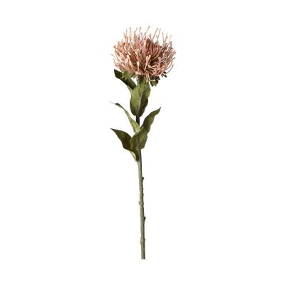 Protea-Einstieler pink