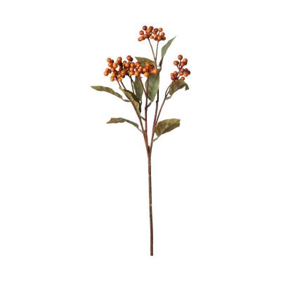 Beeren-Einstieler orange