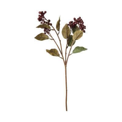 Beeren-Einstieler burgundy