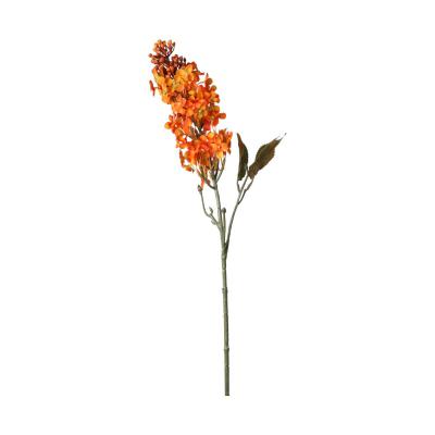 Flieder-Einstieler orange