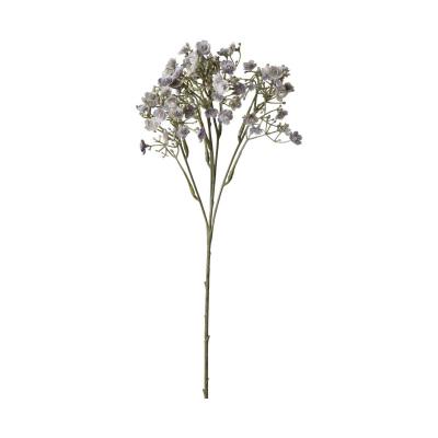 Gypso-Einstieler grau