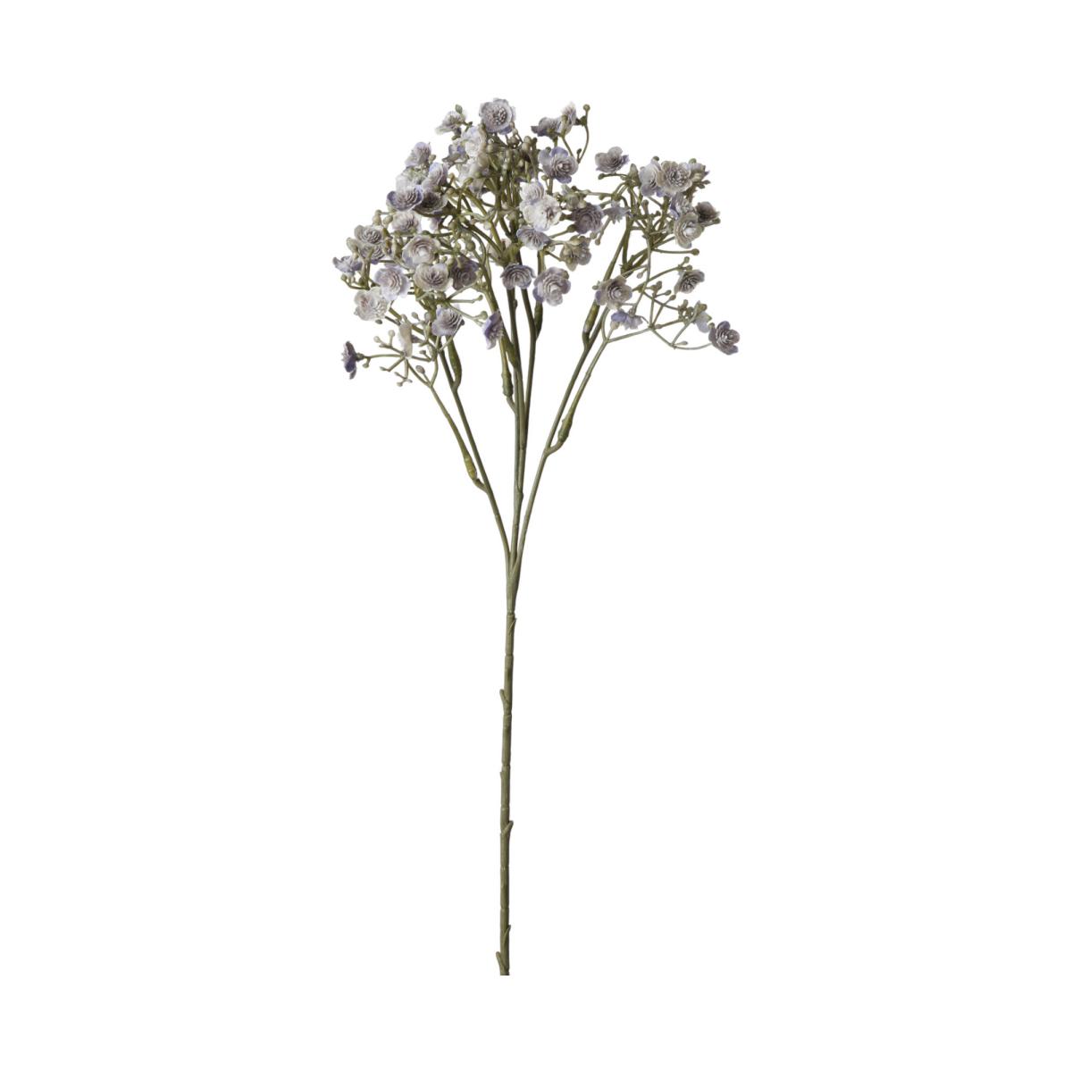 Gypso-Einstieler grau