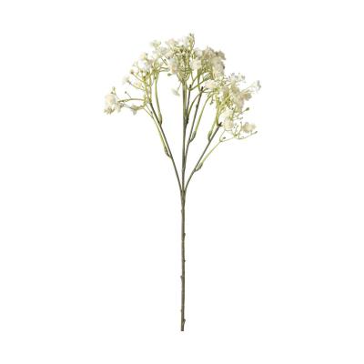 Gypso-Einstieler creme