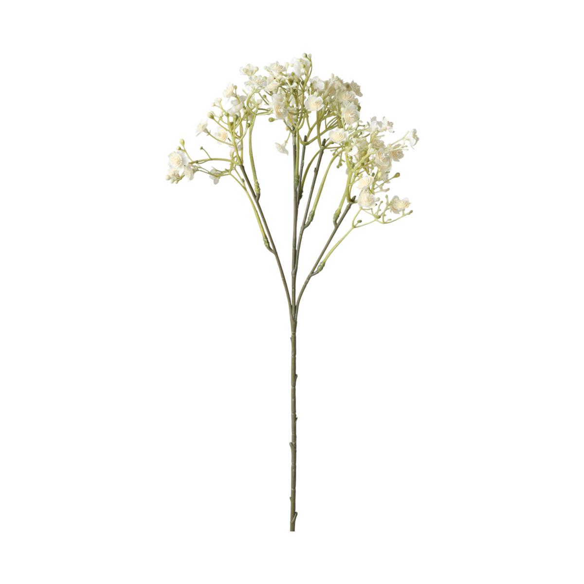 Gypso-Einstieler creme