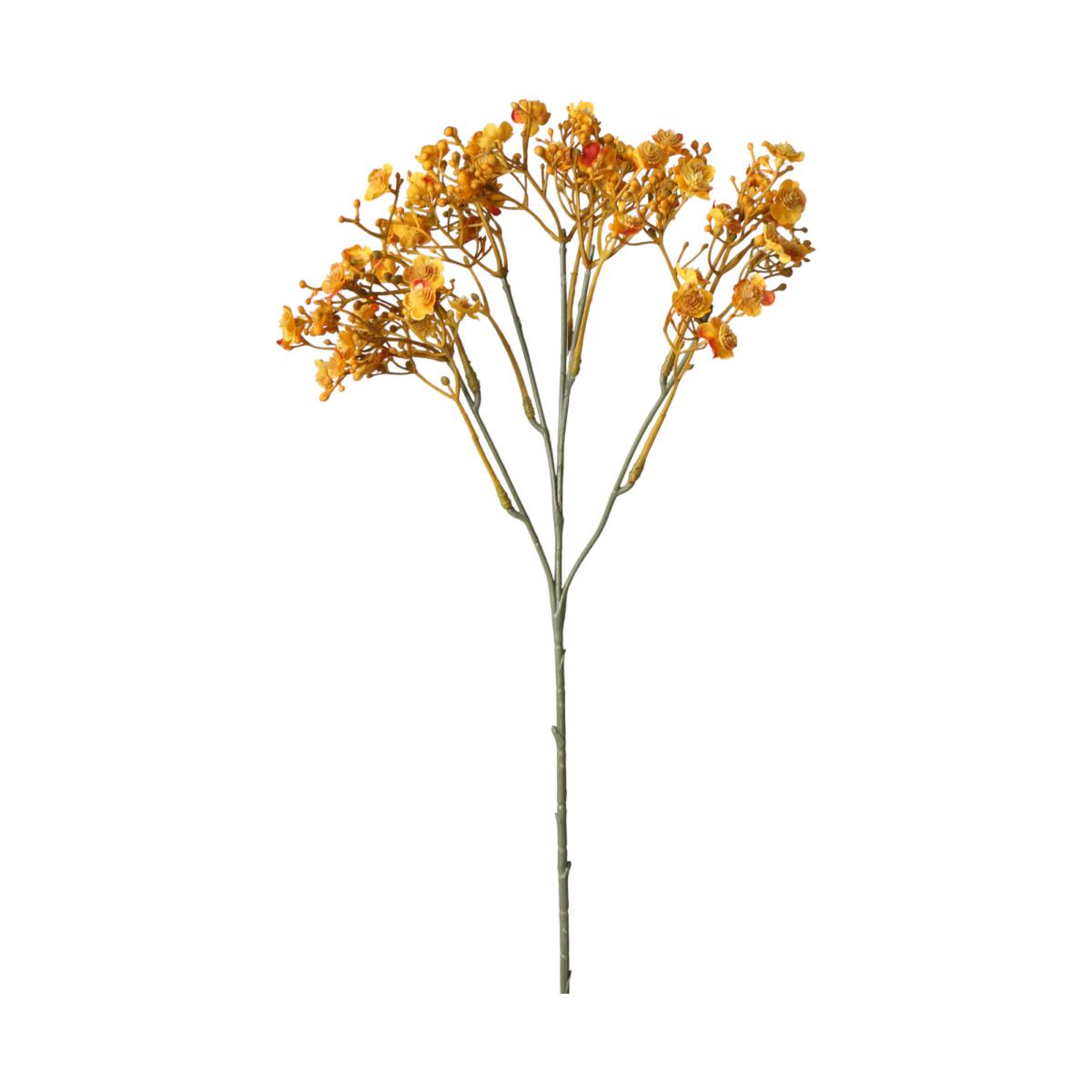 Gypso-Einstieler gelb