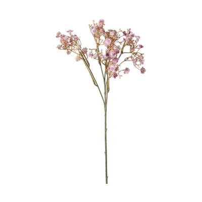 Gypso-Einstieler pink