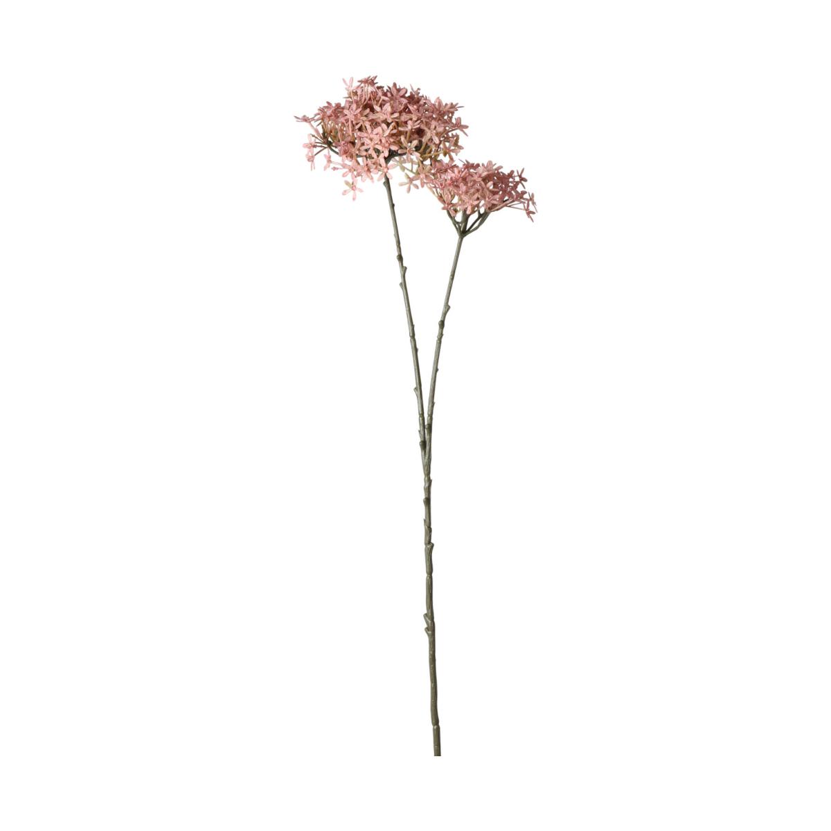 Wildblume-Einstieler pink