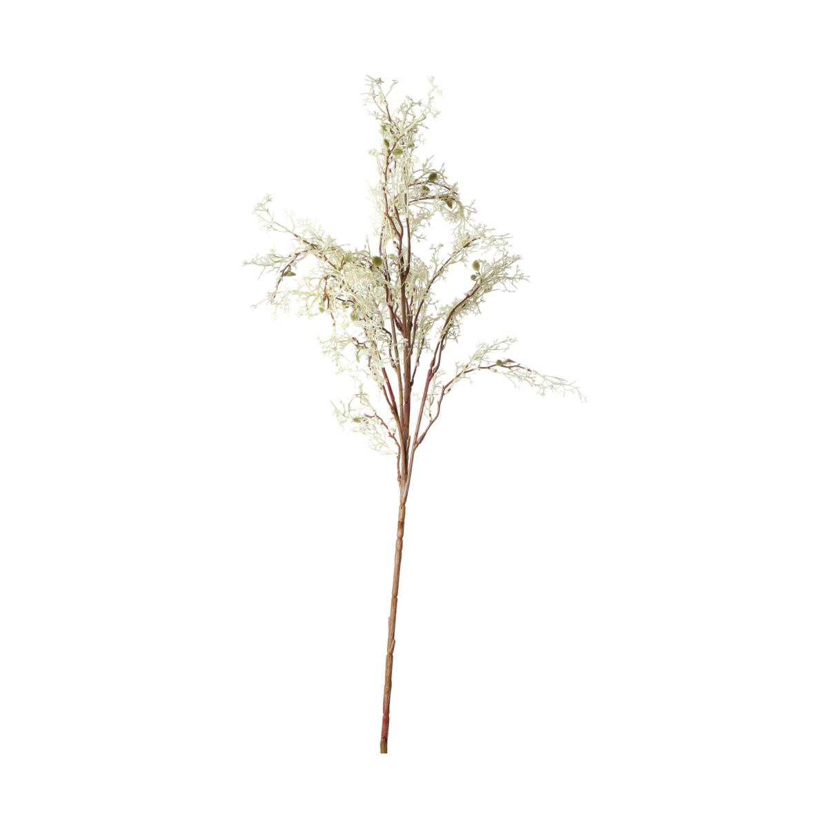 Herbstzweig creme