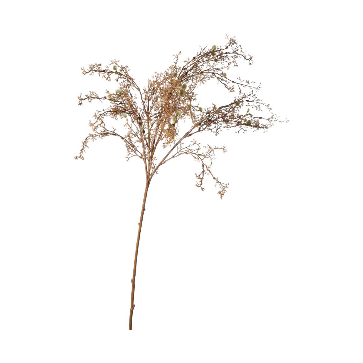 Herbstzweig braun
