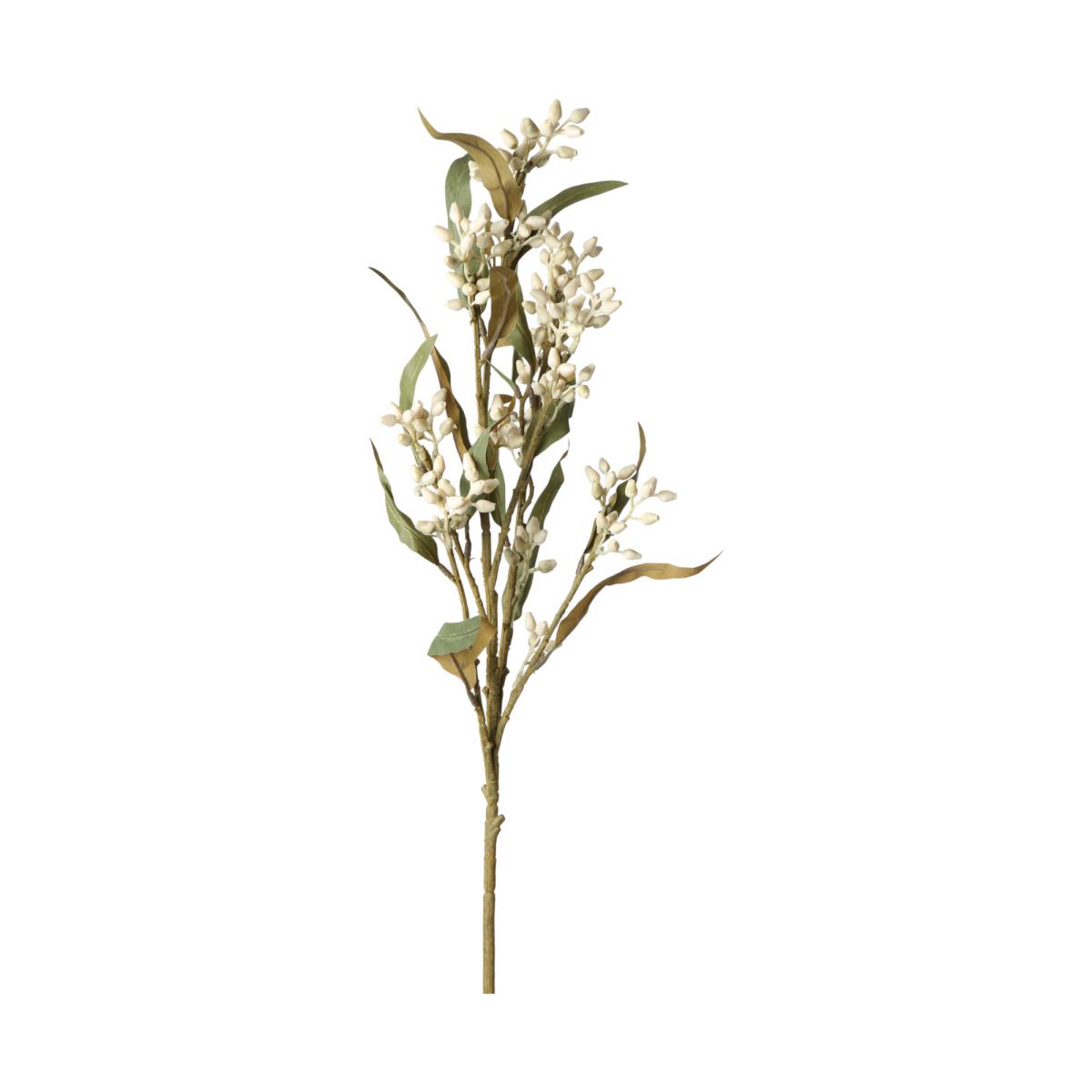 Eucalyptus-Einstieler creme