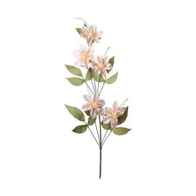 Clemanits-Einstieler beige