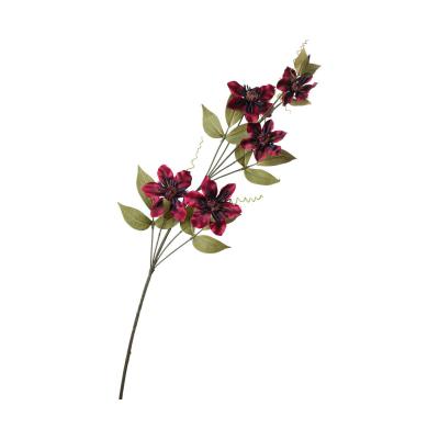 Clemanits-Einstieler burgundy