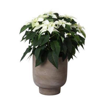 Topf mit Sockel teracotta