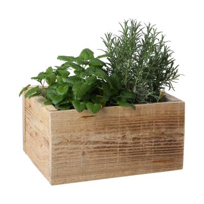 Pflanzkiste rechteckig