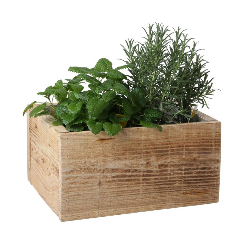 Pflanzkiste rechteckig