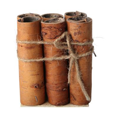 Reagenzglas-Ständer in Rinde