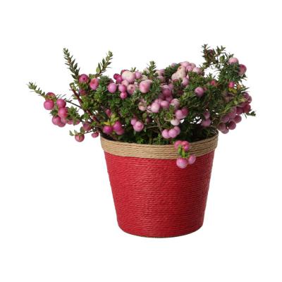 Papierkordel-Topf für 14er Farbmix