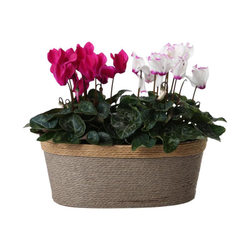 Papierkordel-Schale oval Farbmix