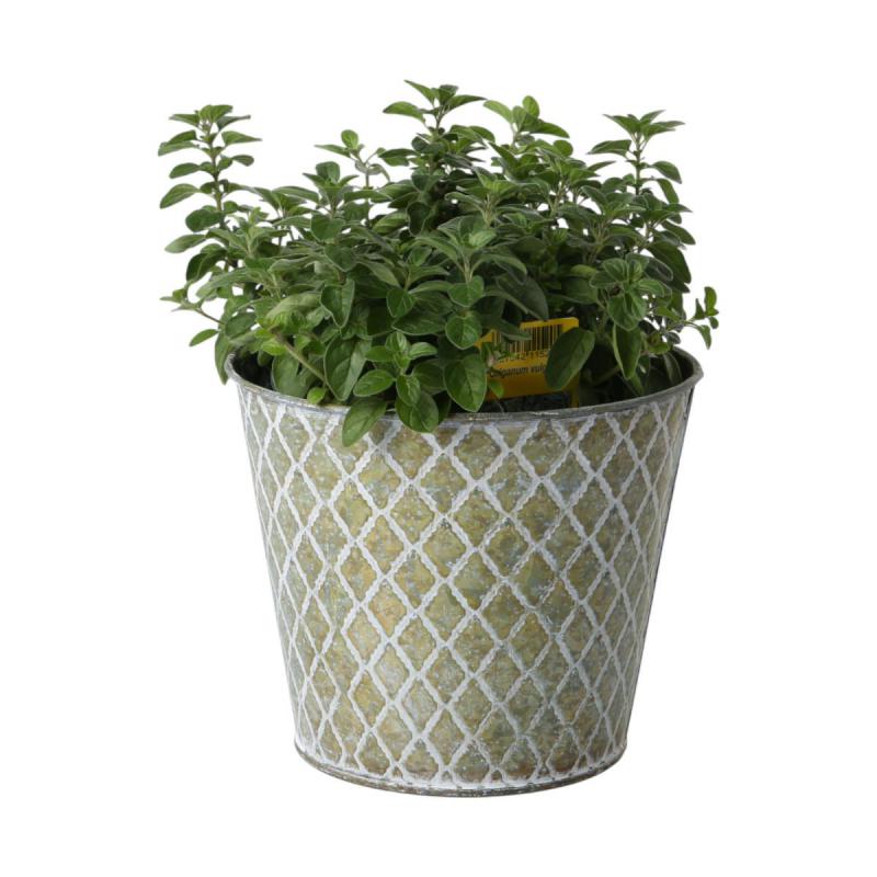 Blechtopf für 14er grün mit Rautenmuster