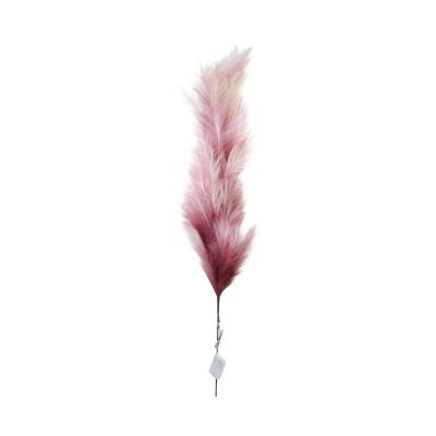 Pampasgras mit LED rosa