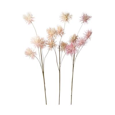 Puschel-Einstieler Farbmix