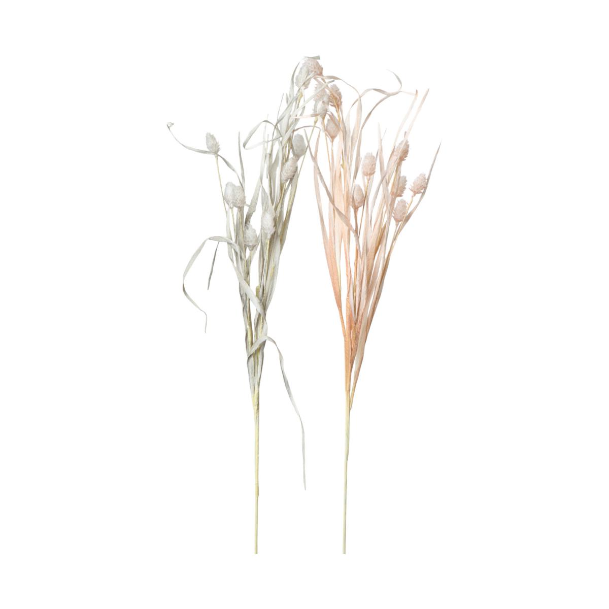 Ähren-Einstieler Farbmix