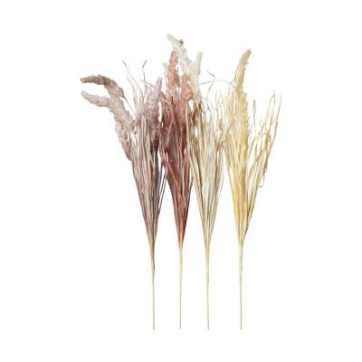 Ähren-Einstieler Farbmix