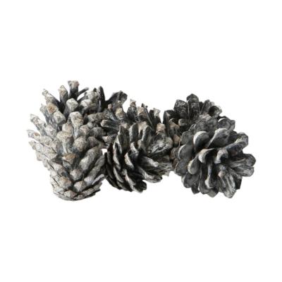Kiefernzapfen Pinus silvestris white washed 5kg