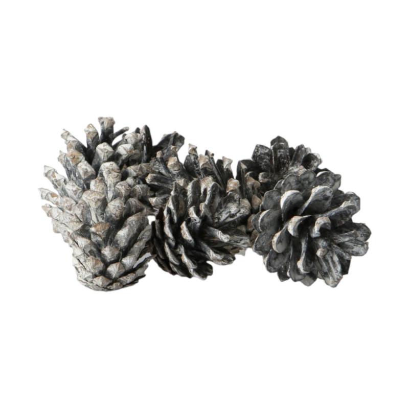 Kiefernzapfen Pinus silvestris white washed 5kg