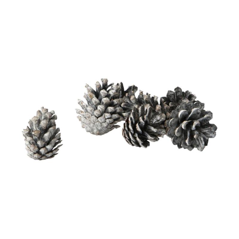 Kiefernzapfen Pinus silvestris white washed 5kg
