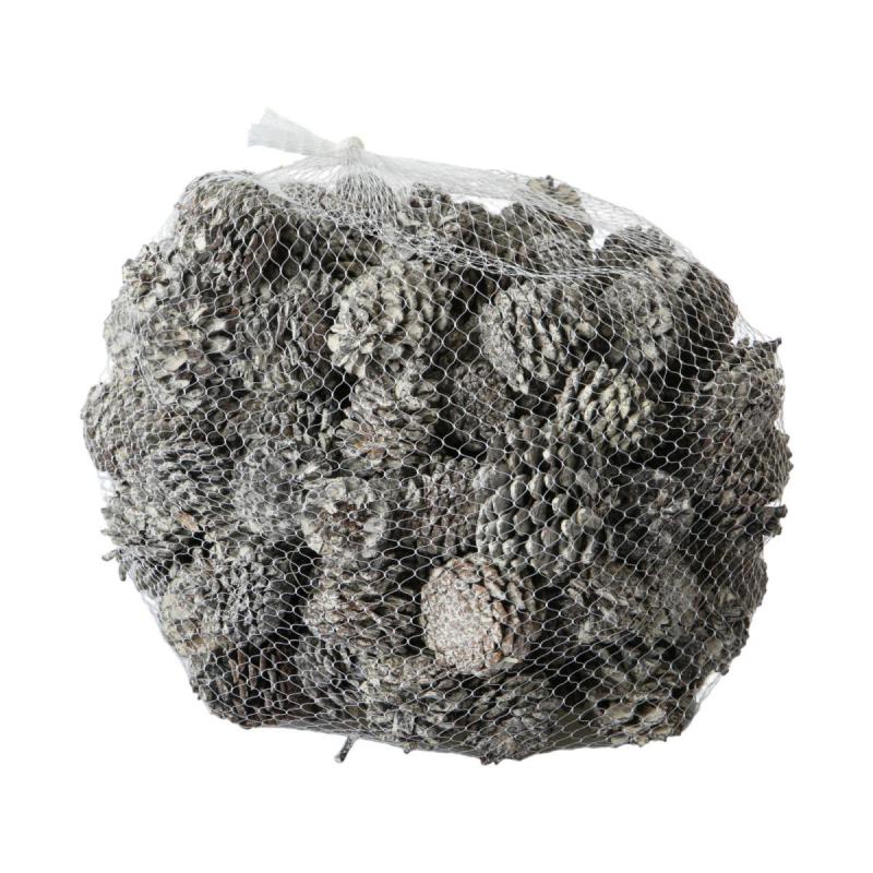 Bergkieferzapfen Pinus mugo white washed 1kg