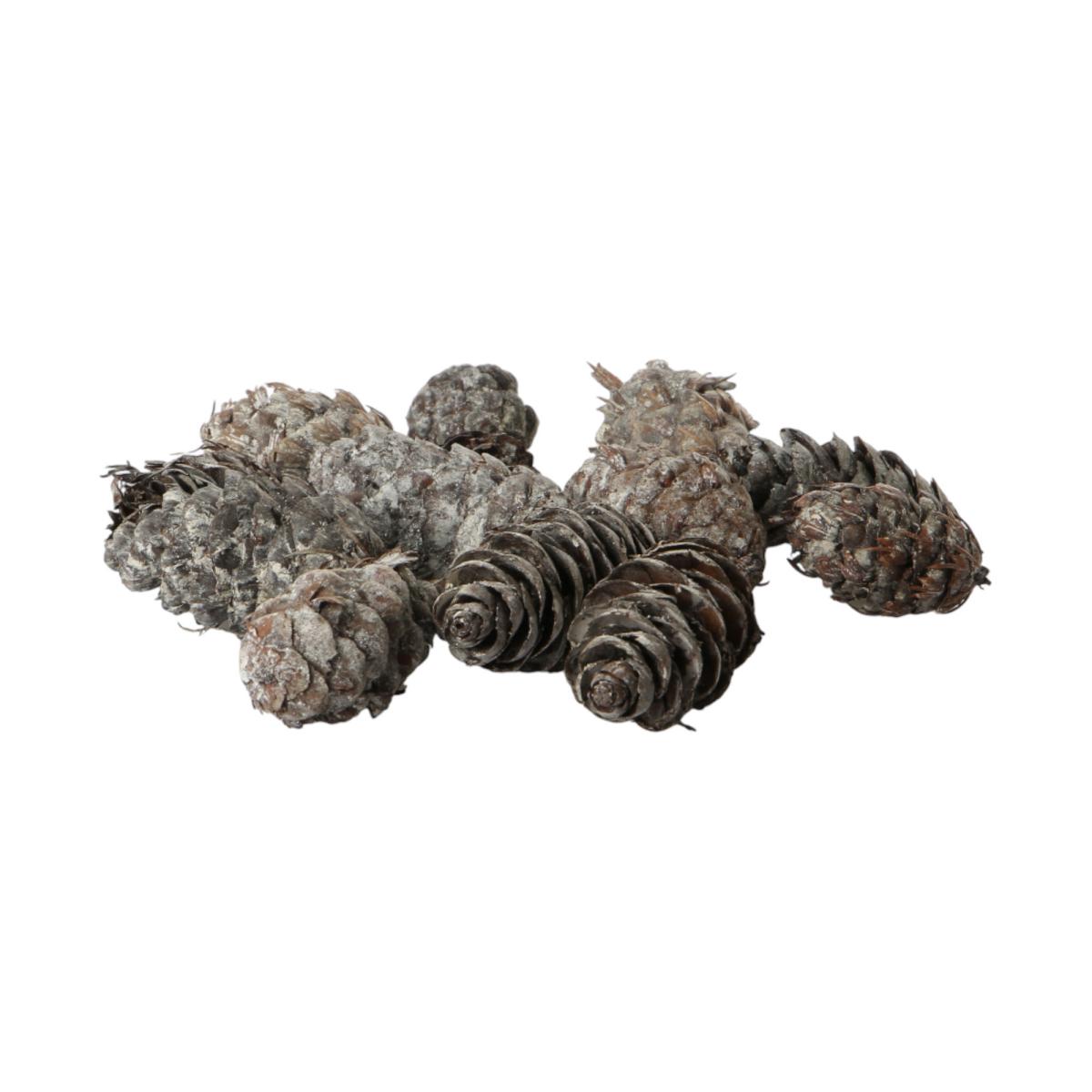 Douglaszapfen white washed 5kg