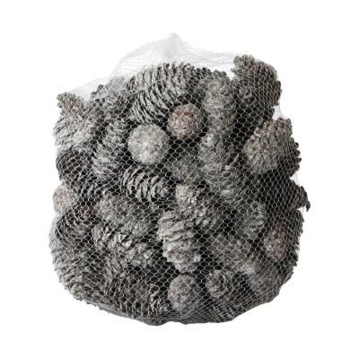 Douglaszapfen white washed 1kg