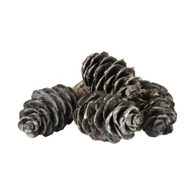 Douglaszapfen white washed 1kg